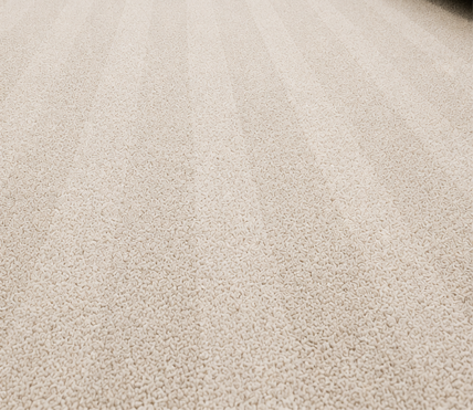 Carpet after deep cleaning service in Richardson TX